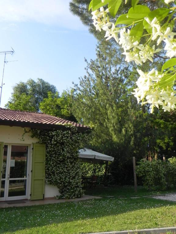 Caterina Residence Фаенца Екстер'єр фото